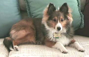 Kelsey at 8 months