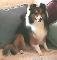 Kelsey at 11 months