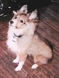 Kelsey at 6 Months