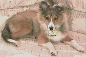 Kelsey at 7 months